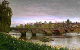 Chester/Handbridge Sleeps 9 + Netflix